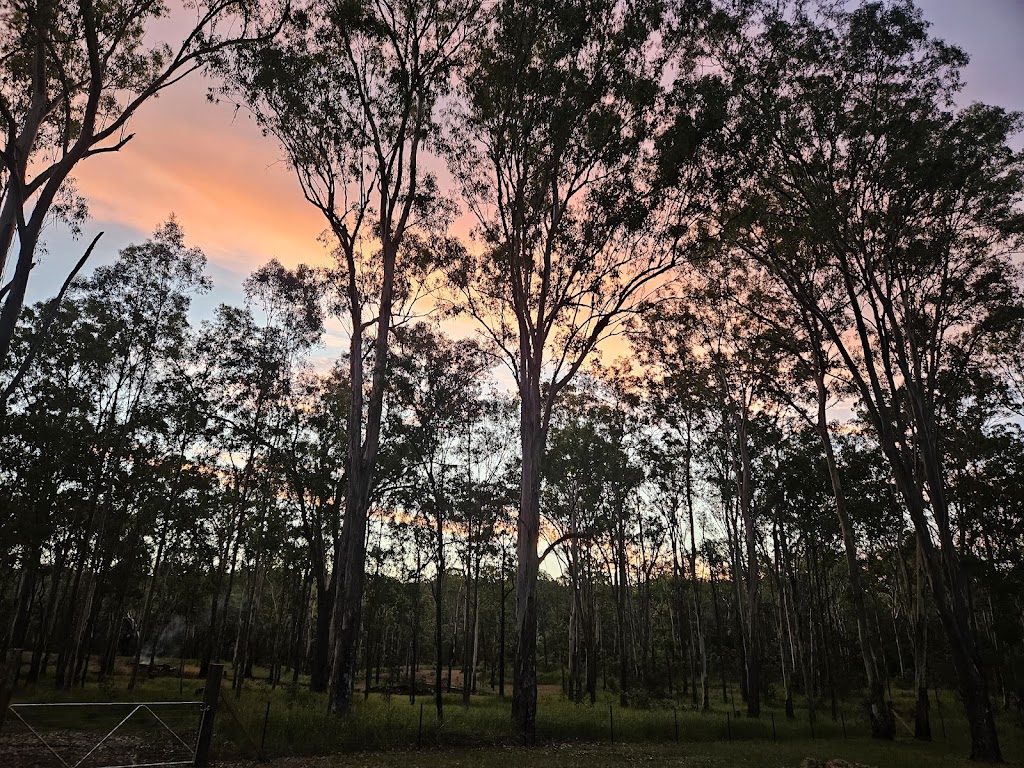 Husky Heaven Tabulam NSW | Bruxner Hwy, Tabulam NSW 2469, Australia | Phone: 0415 169 965