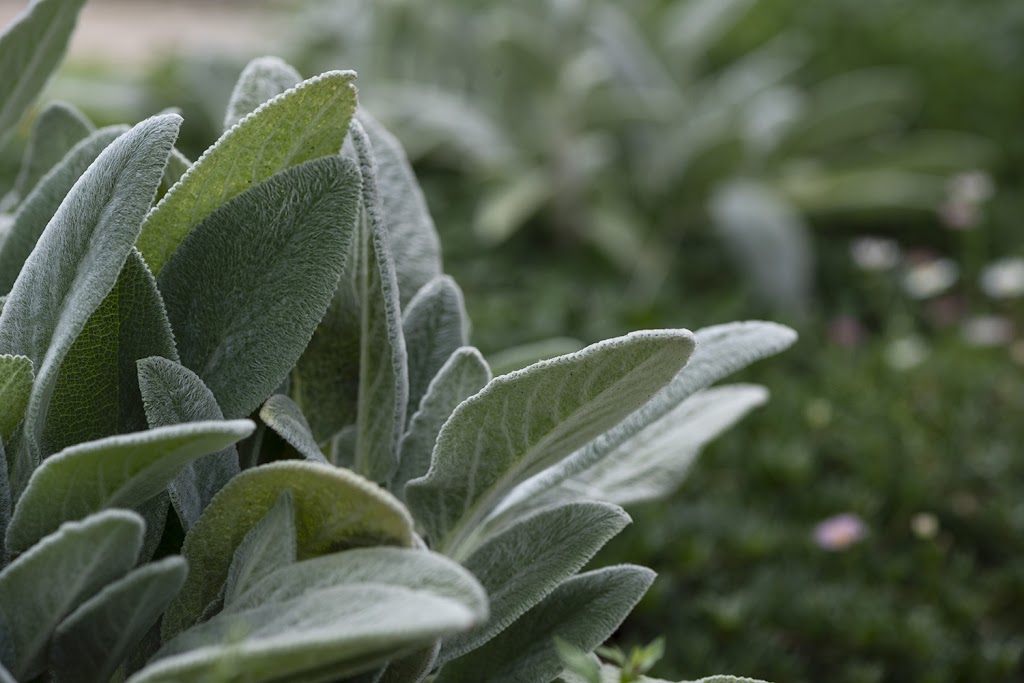 Hunter Landscaping Design + Construct | 1623 Maitland Vale Rd, Lambs Valley NSW 2337, Australia | Phone: 0429 326 168