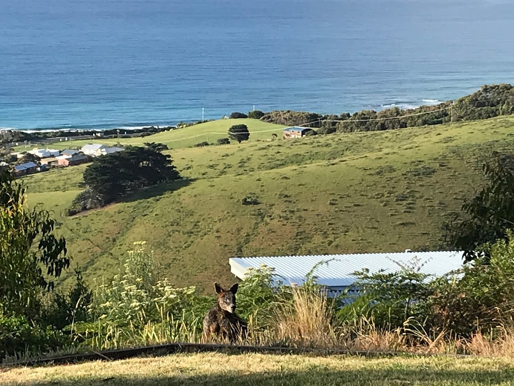 Beacon Point Ocean View Villas | lodging | 270 Skenes Creek Rd, Skenes Creek VIC 3233, Australia | 0352376218 OR +61 3 5237 6218