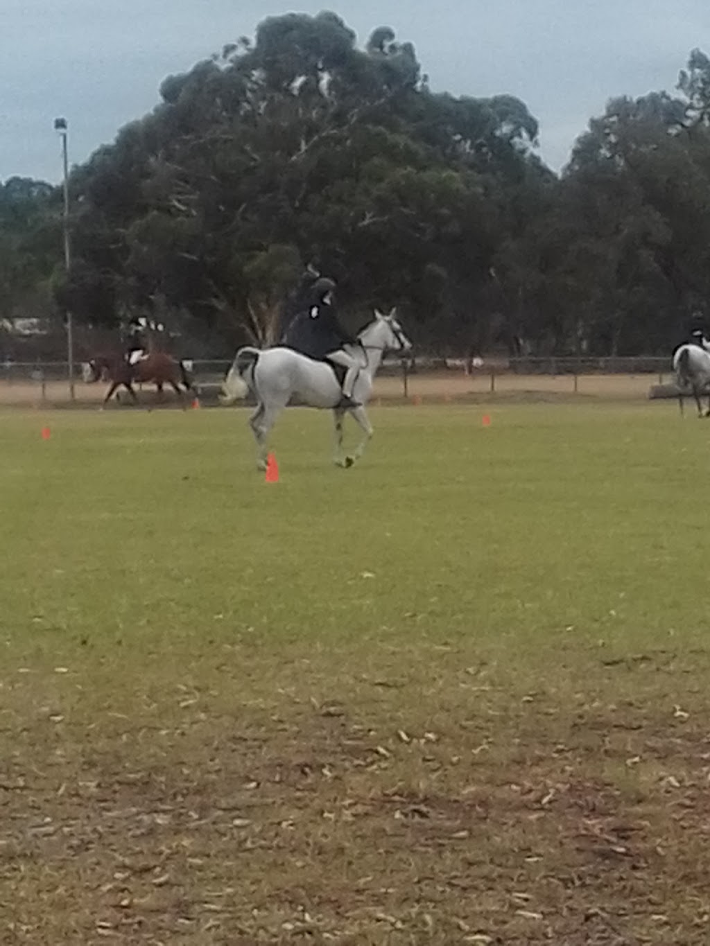 Karinya equestrian park | gym | 27 Grant St, Orange Grove WA 6109, Australia