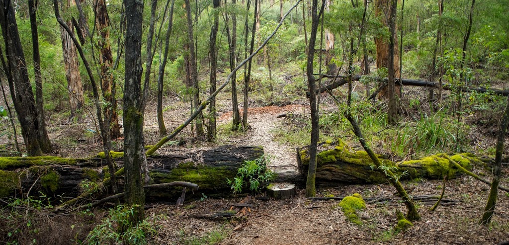 Karri Lake Trail | park | Unnamed Road, Quinninup WA 6258, Australia