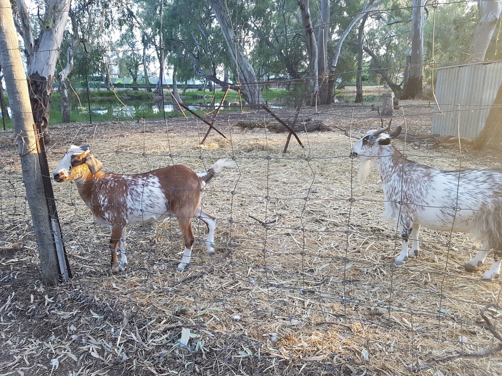 Warracknabeal Fauna Park | Warracknabeal VIC 3393, Australia