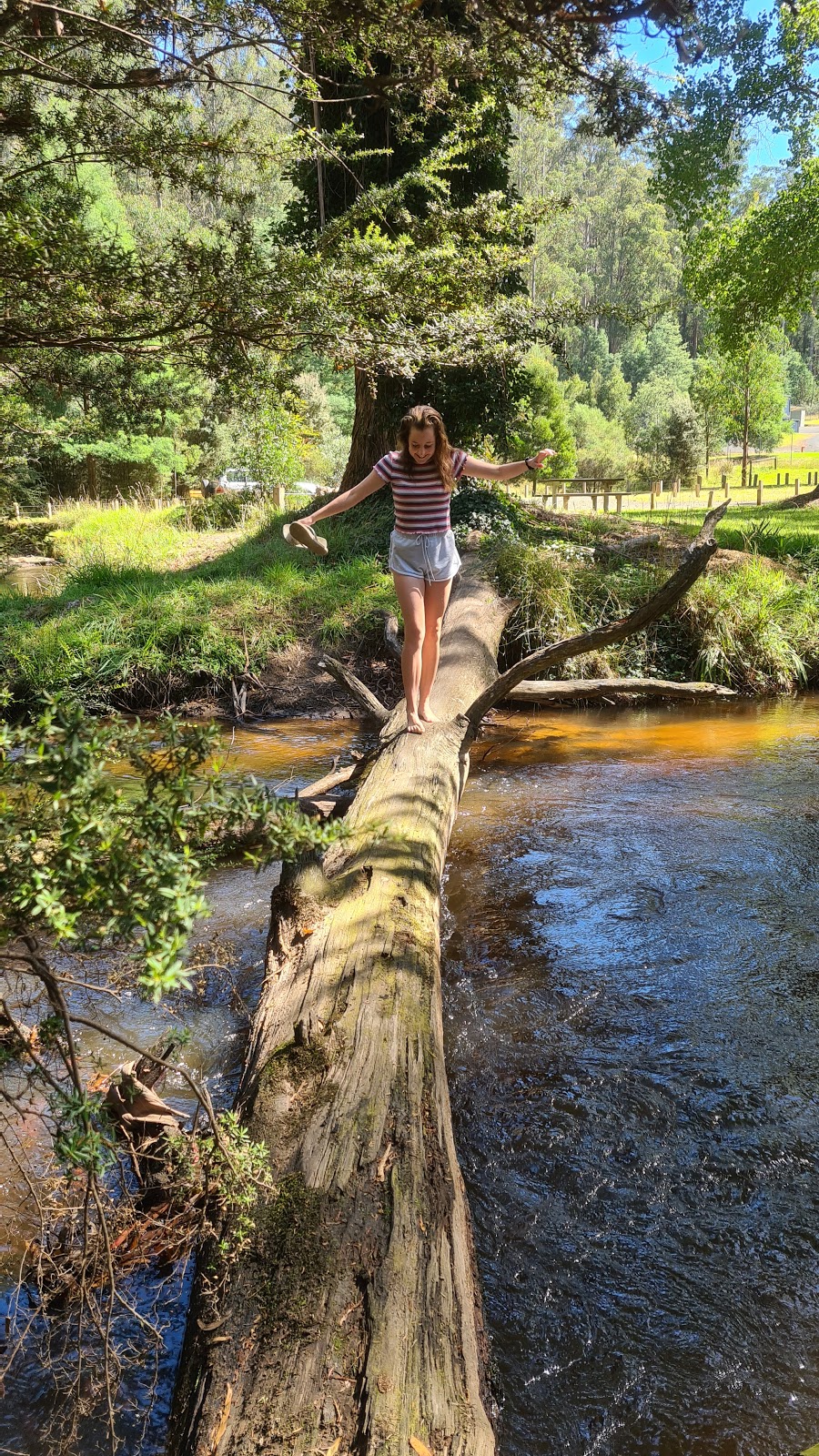 Department Of Environment Lands Water and Planning | local government office | 12 McCarthy Spur Rd, Noojee VIC 3833, Australia | 136186 OR +61 136186