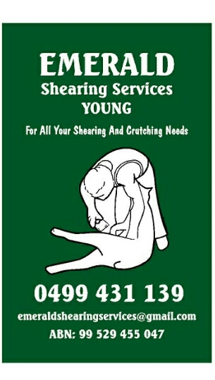 Emerald shearing services | Young NSW 2594, Australia | Phone: 0499 431 139