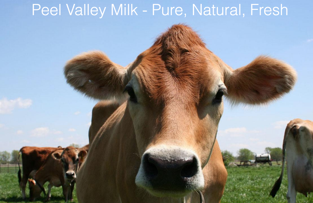 Peel Valley Milk | food | 204 Wallamore Road, Tamworth NSW 2340, Australia | 0404081352 OR +61 404 081 352