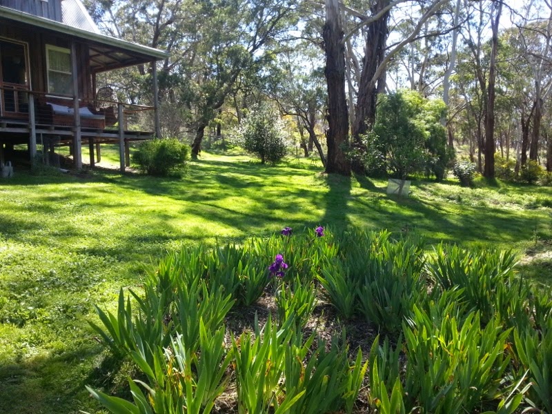 Mount Cole Cottages | lodging | 11 Frees Point Rd, Raglan VIC 3373, Australia | 0422438414 OR +61 422 438 414