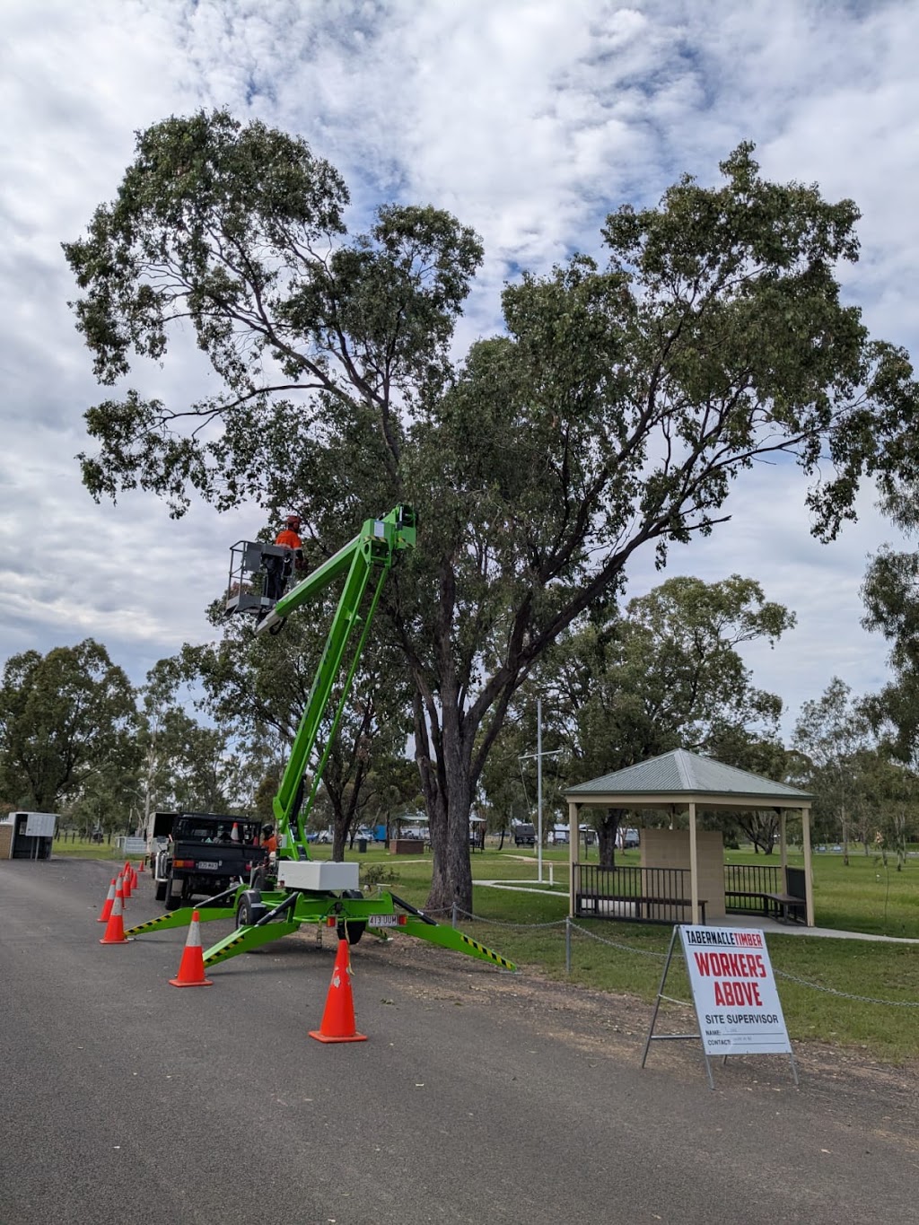 Tabernacle Timber | 4947 Chinchilla Tara Rd, Tara QLD 4421, Australia | Phone: 0423 025 861