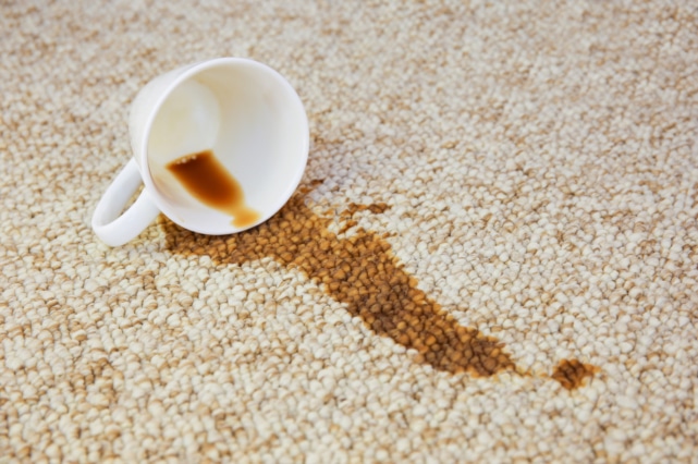 ECO Carpet Cleaning | 21 Umbria Rd, Mernda VIC 3754, Australia | Phone: (03) 9119 0419