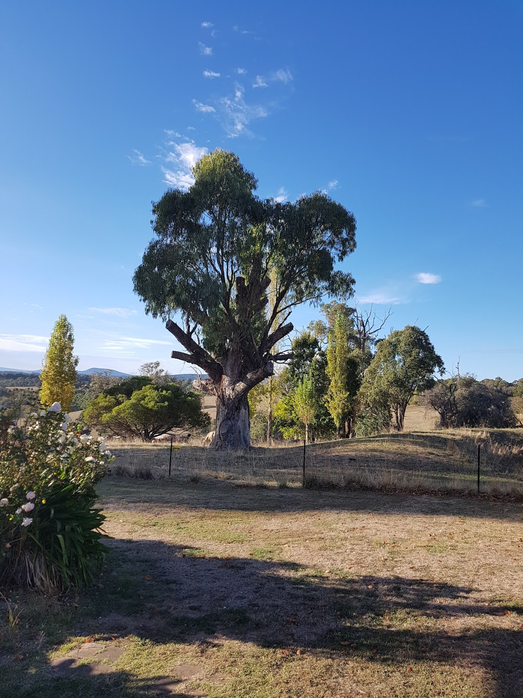 Brindabella Farm Stay | lodging | 4388 Batlow Rd, Batlow NSW 2730, Australia | 0438604416 OR +61 438 604 416