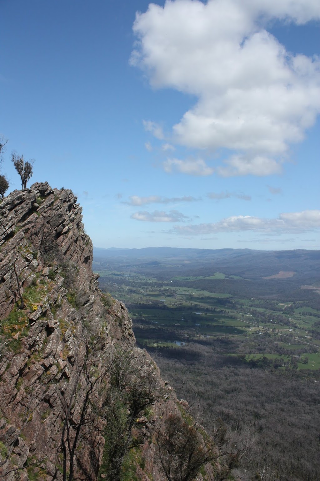 Cathedral North Peak | park | Cathedral Circuit, Taggerty VIC 3714, Australia