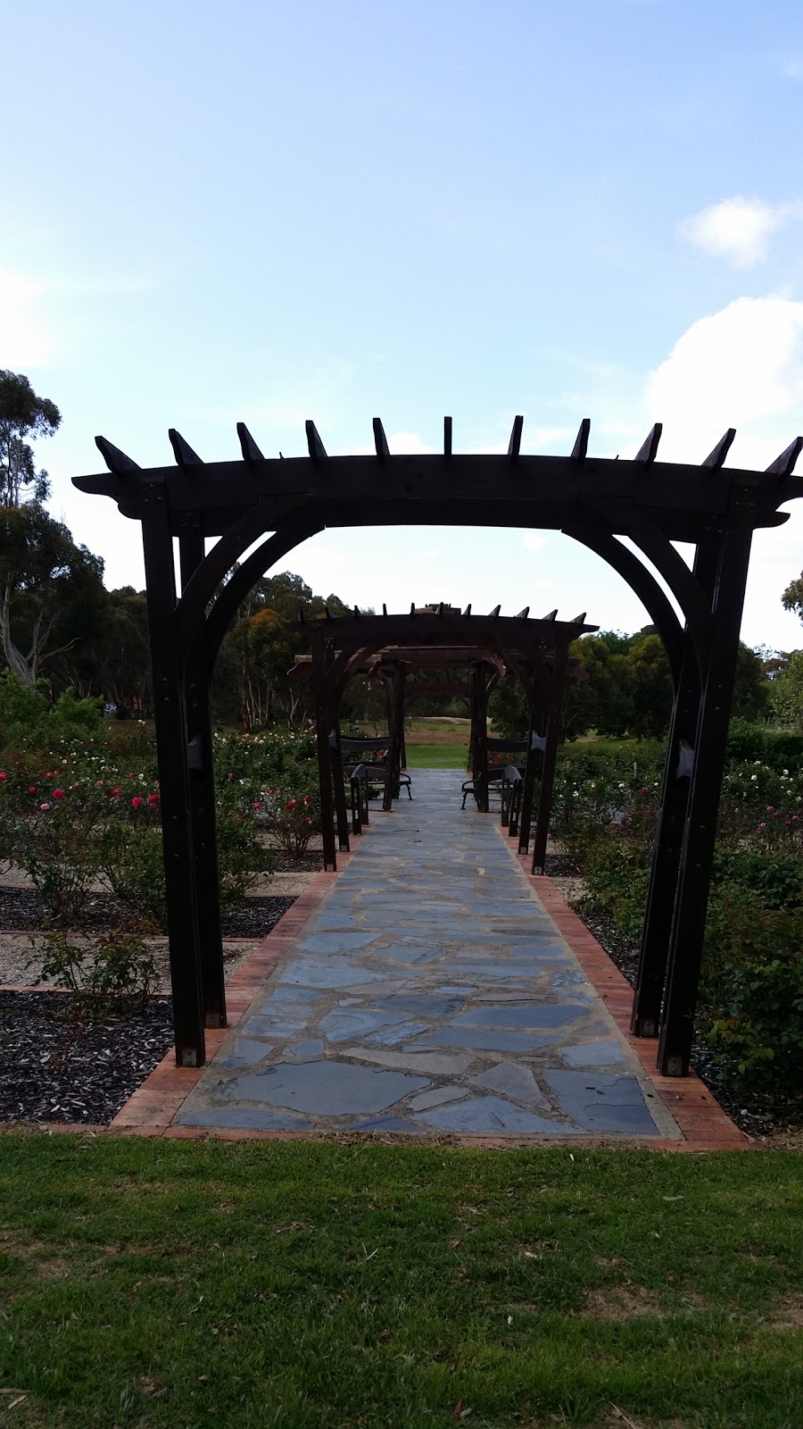 Willunga Jubilee Rose Garden | rose garden, Willunga SA 5172, Australia