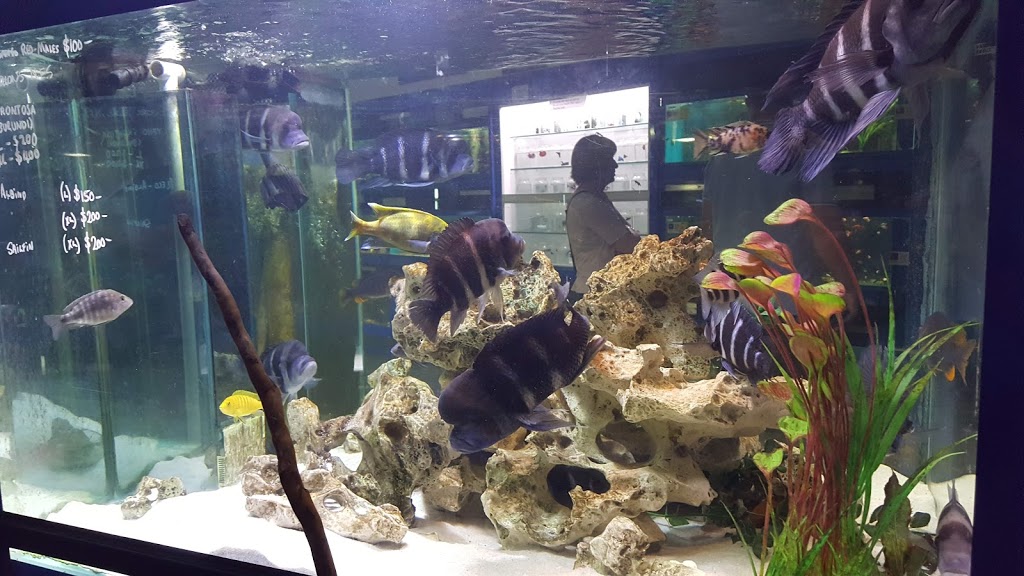 Coburg Aquarium | pet store | 232-236 Bell St, Coburg VIC 3058, Australia | 0393545843 OR +61 3 9354 5843