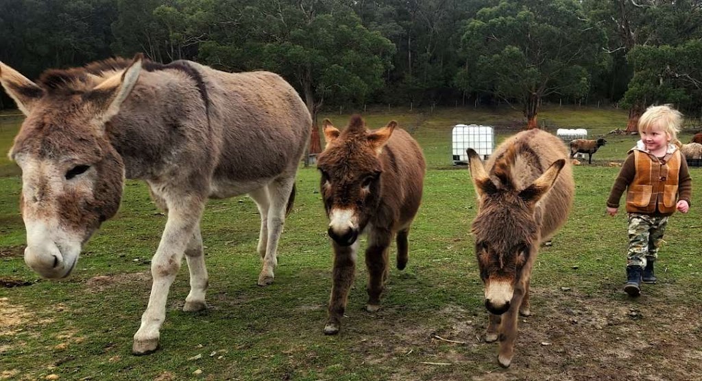 Woori Yallock Therapy Farm | 205 Owens Rd, Woori Yallock VIC 3139, Australia | Phone: 0411 271 418