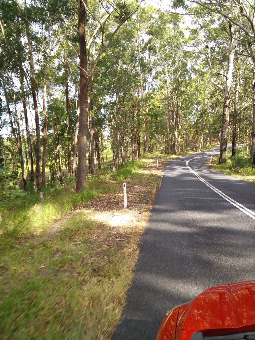 Crohamhurst Conservation Park | Peachester QLD 4519, Australia