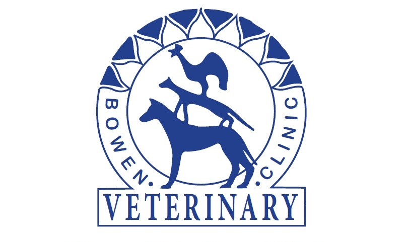 Bowen Vet Clinic | 156 Richmond Rd, Bowen QLD 4805, Australia | Phone: (07) 4786 4864