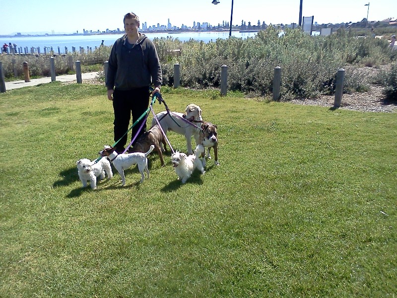 Dogtime Pet Services - Dog Trainer | Dendy St, Brighton East VIC 3187, Australia | Phone: 0435 179 200