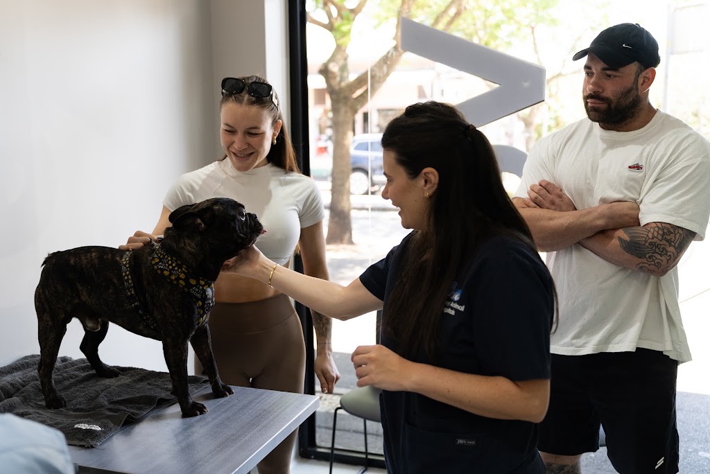 Sydney Bulldog Clinic Baulkham Hills | 472 Windsor Rd, Baulkham Hills NSW 2153, Australia | Phone: (02) 8811 4604