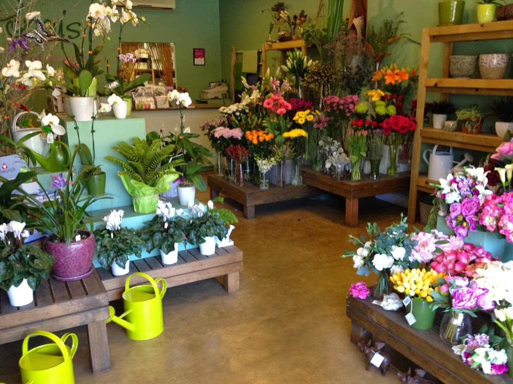 Poppys of Thirroul | florist | 295 Lawrence Hargrave Dr, Thirroul NSW 2515, Australia | 0242671500 OR +61 2 4267 1500