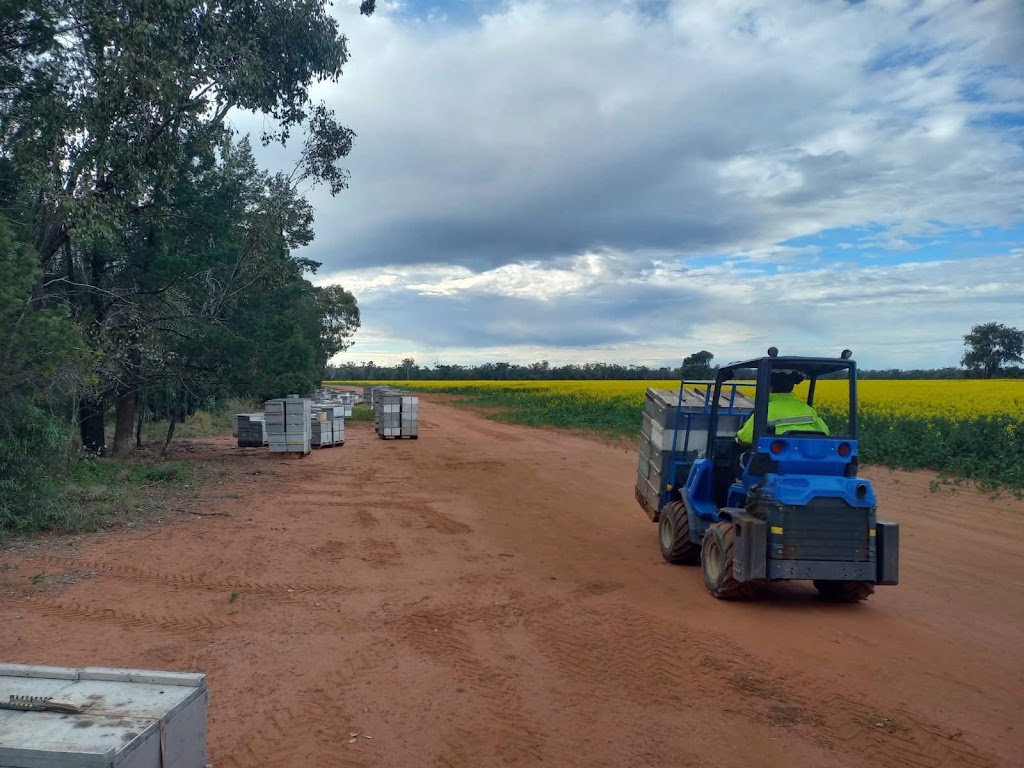 Prestons Honey | 544 Armidale Rd, Elland NSW 2460, Australia | Phone: 0429 697 204