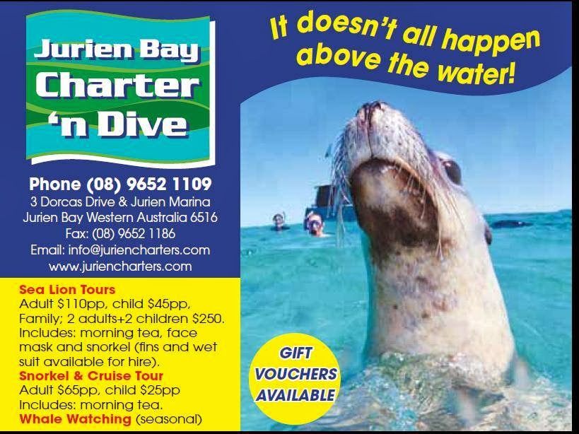 JURIEN BAY CHARTER N DIVE | 3 Dorcas St, Jurien Bay WA 6516, Australia | Phone: (08) 9652 1109