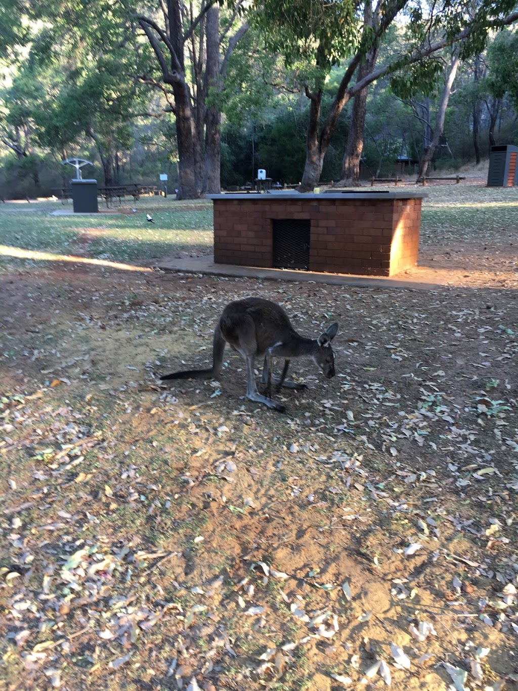 Serpentine Falls Car Park | parking | 100 Falls Rd, Serpentine WA 6125, Australia