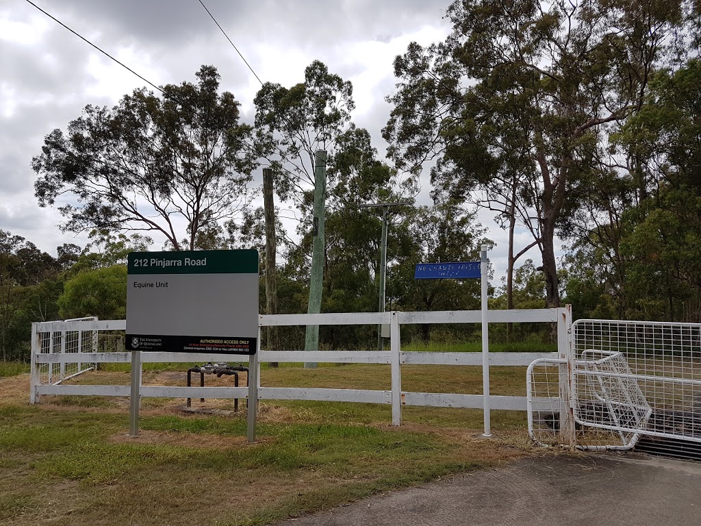 The University of Queensland - Equine Unit | 212 Pinjarra Rd, Pinjarra Hills QLD 4069, Australia | Phone: (07) 3365 1111