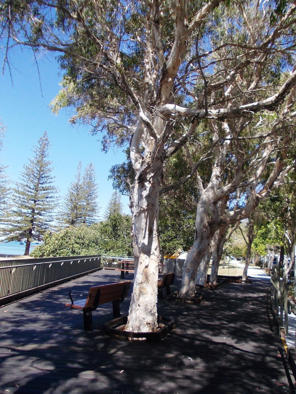 Queens Beach Park | park | Flinders Ln, Scarborough QLD 4020, Australia | 0732050555 OR +61 7 3205 0555