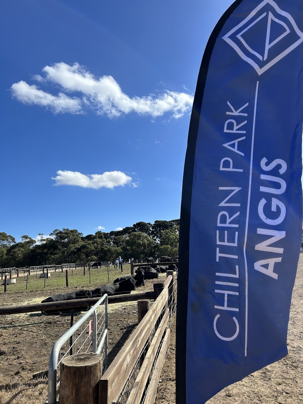 Chiltern Park Angus | 565 MacArthur-Penshurst Rd, Macarthur VIC 3286, Australia | Phone: 0459 149 280