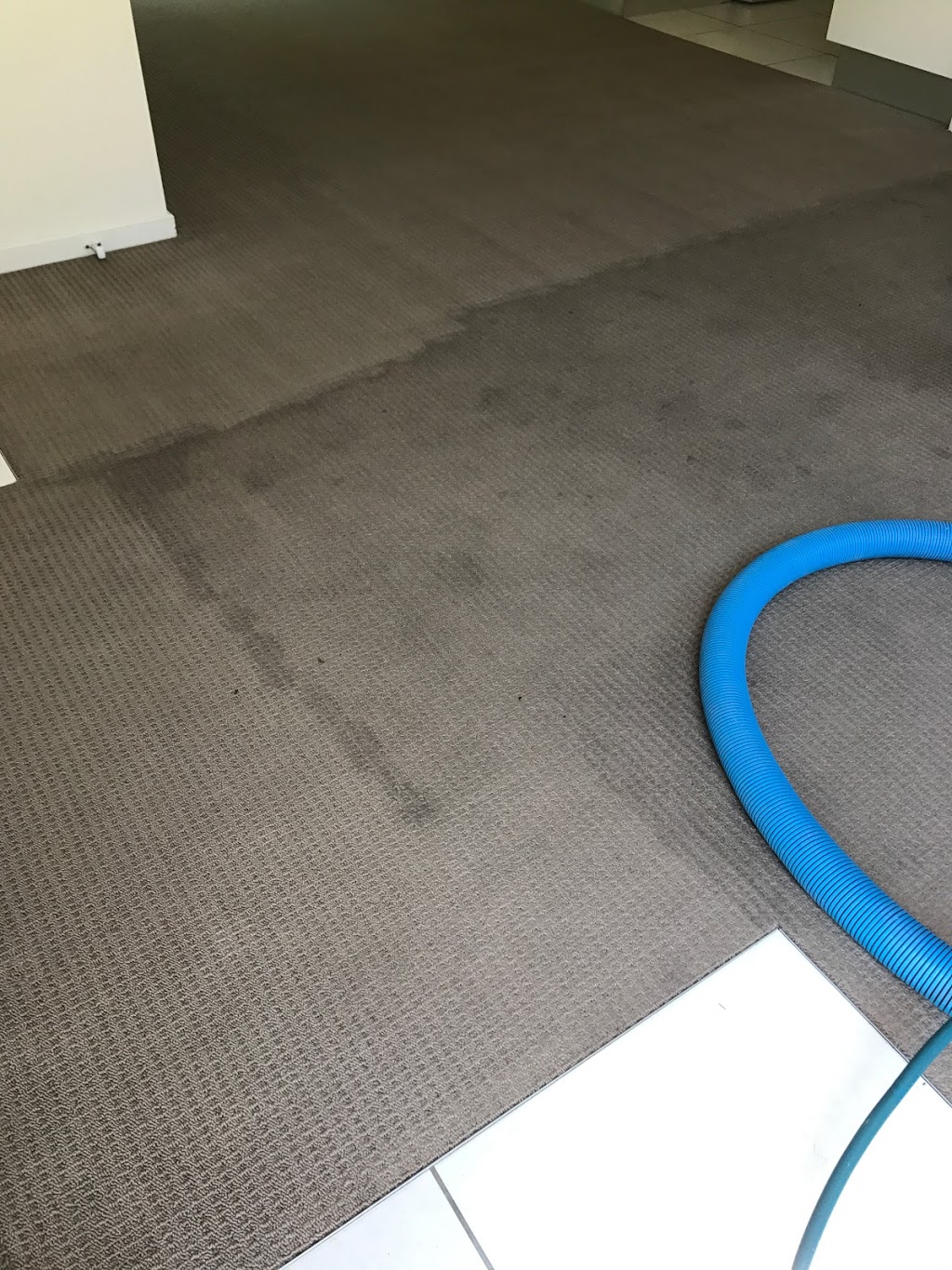 Wizard Carpet Cleaning | laundry | 15 Glady Ave, Caboolture QLD 4510, Australia | 0422824866 OR +61 422 824 866
