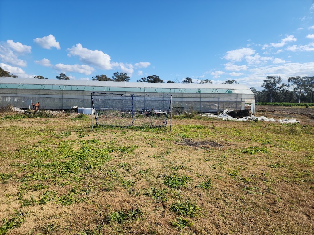 Greenleaves farm | 77-81 Taylor Rd, Cranebrook NSW 2749, Australia | Phone: 0478 785 966