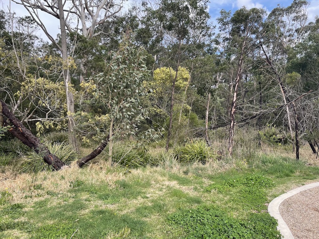 Nattai Ponds Playground | Isedale Rd, Braemar NSW 2575, Australia | Phone: (02) 4868 0888