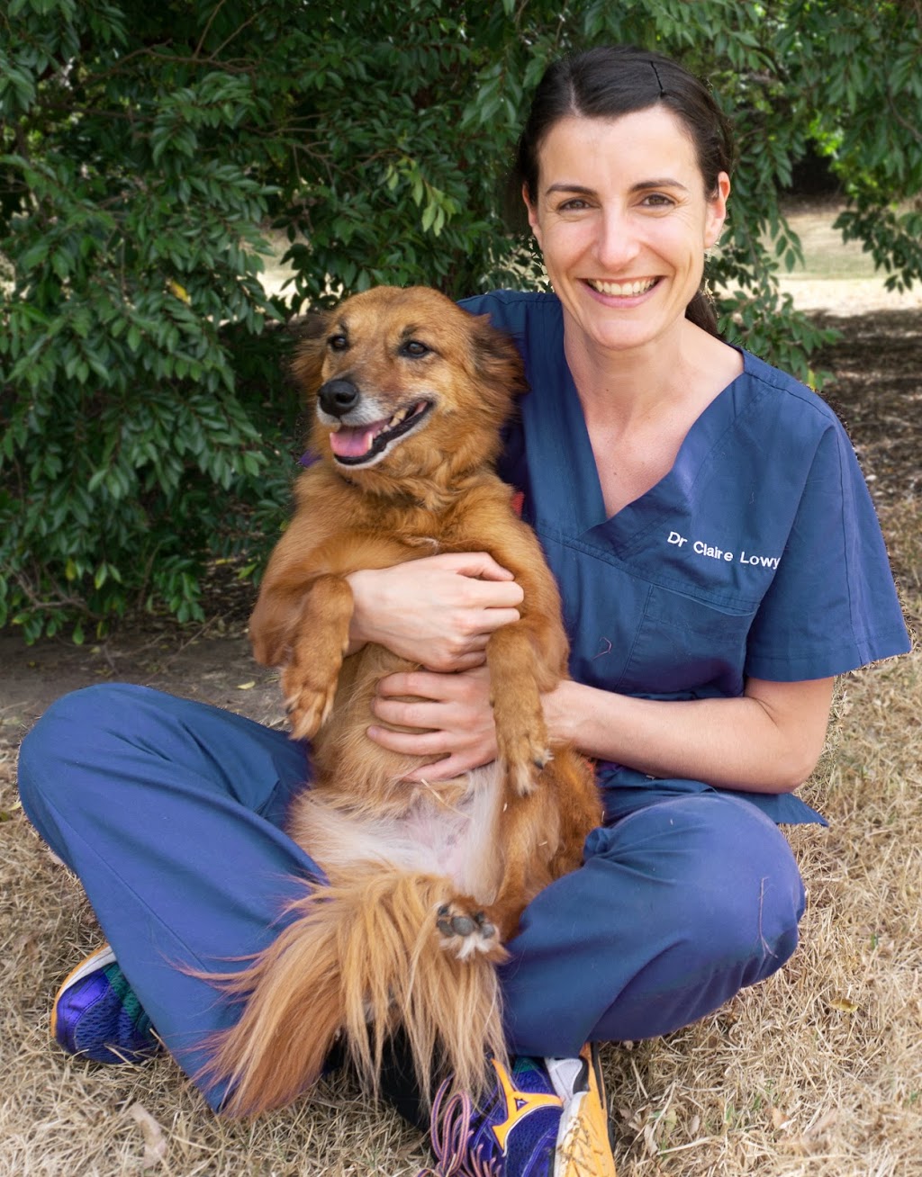 Waverley Animal Hospital | veterinary care | 249 Waverley Rd, Mount Waverley VIC 3149, Australia | 0398079222 OR +61 3 9807 9222
