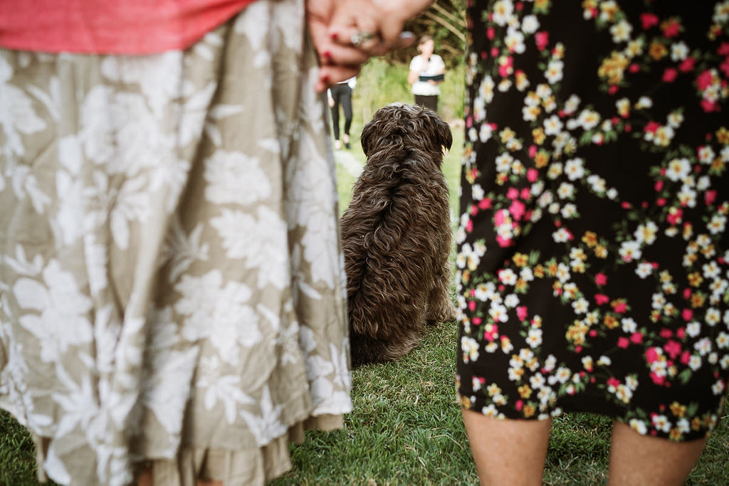 Ceremonies to a Tee |  | 7 Environs Ave, Cooloola Cove QLD 4580, Australia | 0416049717 OR +61 416 049 717