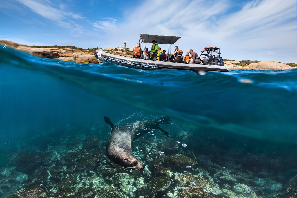 Underwater Safaris | travel agency | Narooma, North Narooma NSW 2546, Australia | 0415805479 OR +61 415 805 479