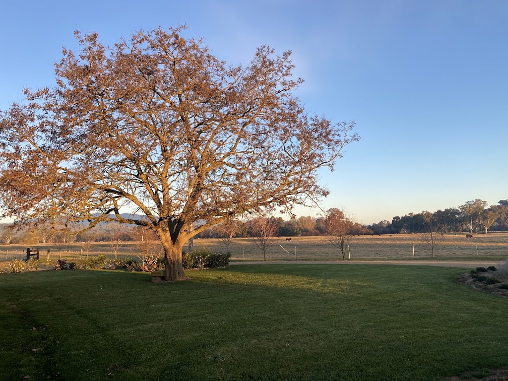 Two Rivers Lodge | Moloneys Rd, Acheron VIC 3714, Australia | Phone: 0418 523 577