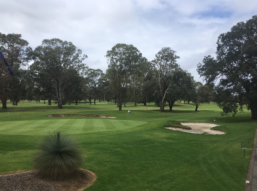 Georges River Golf Course | 255 Henry Lawson Dr, Georges Hall NSW 2198, Australia | Phone: (02) 9724 1615