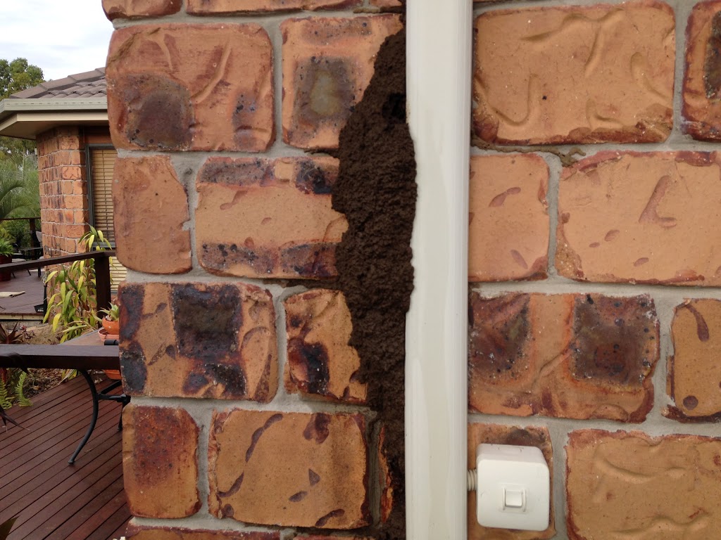 All Pest and Termite Eradication | home goods store | 2/1 Telegraph Rd, Bundaberg QLD 4670, Australia | 1300656124 OR +61 1300 656 124