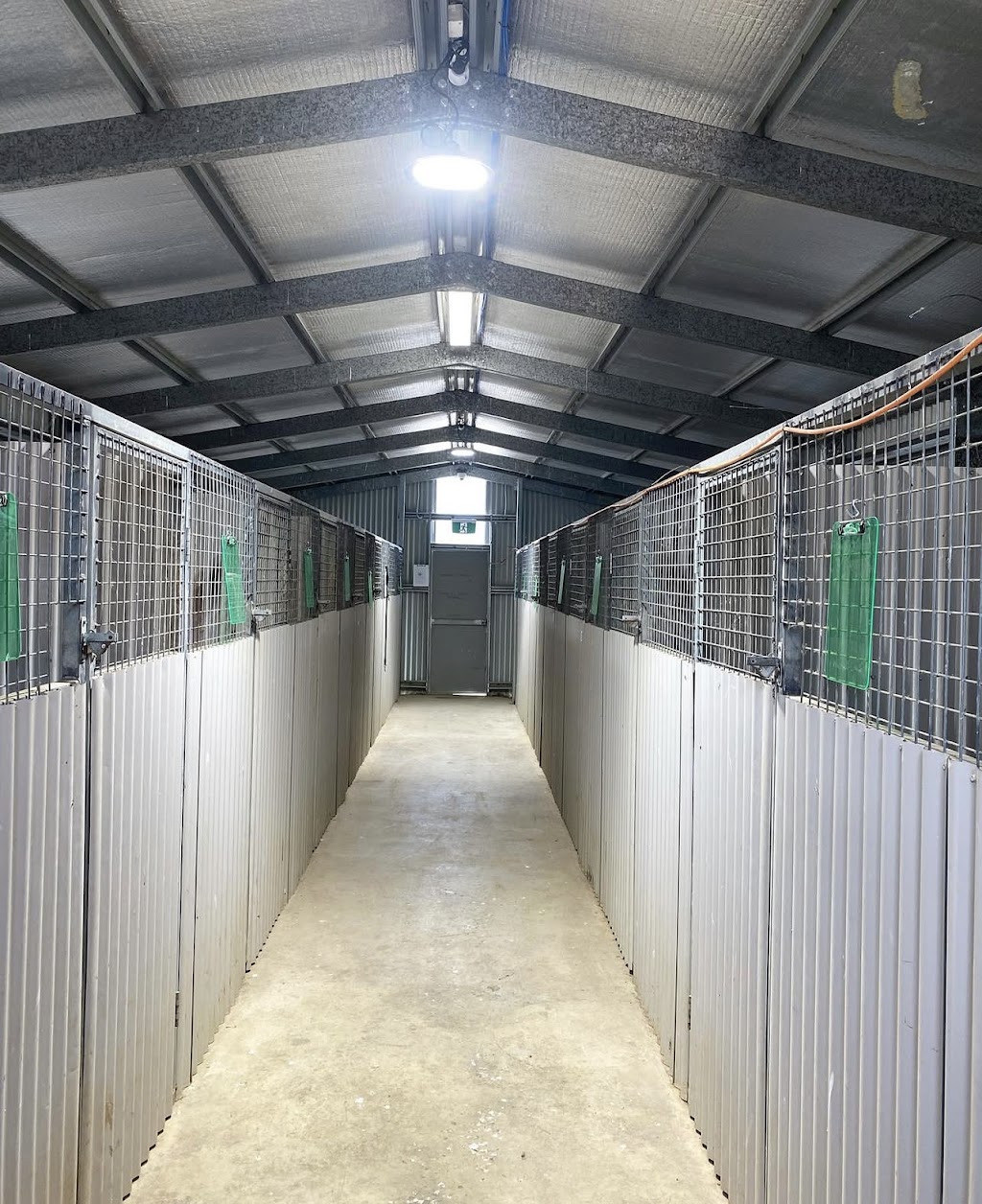 Hilltop Pups Dog Boarding | 2483 Freemantle Rd, Killongbutta NSW 2795, Australia | Phone: 0438 274 491