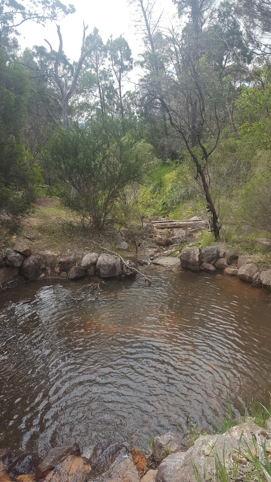 Black Hill Conservation Park | 115 Maryvale Rd, Athelstone SA 5076, Australia | Phone: (08) 8336 0901