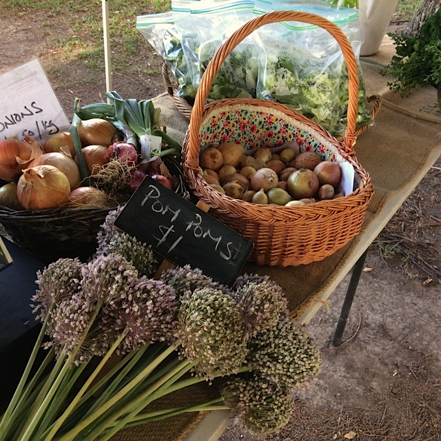 Gloucester Farmers Market - 2nd Saturday Monthly | Denison St &, Billabong Ln, Gloucester NSW 2422, Australia | Phone: 0400 433 553