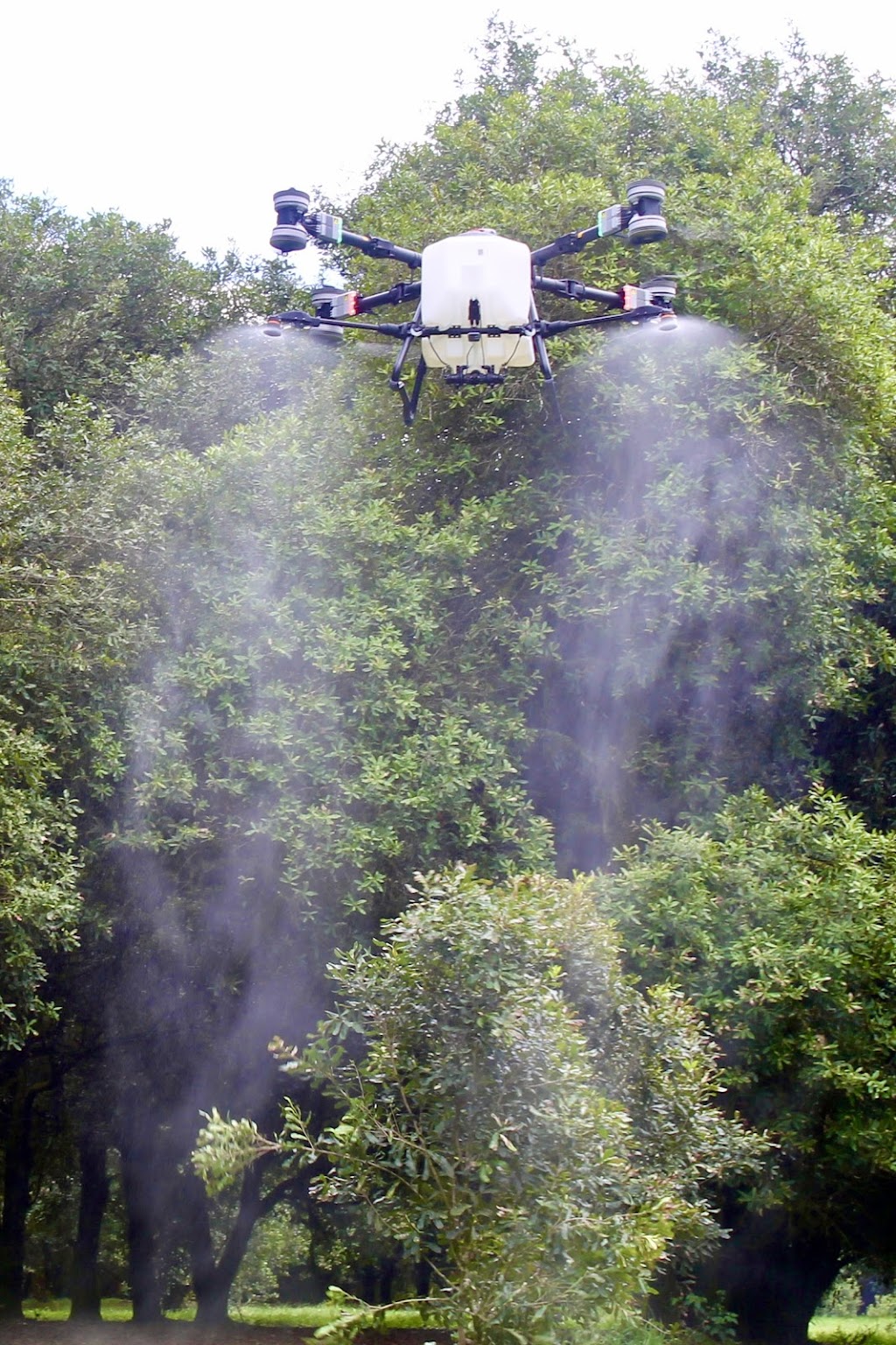 Terra Agri Tech | 1050 Lismore Rd, Nashua NSW 2479, Australia | Phone: 0497 369 056