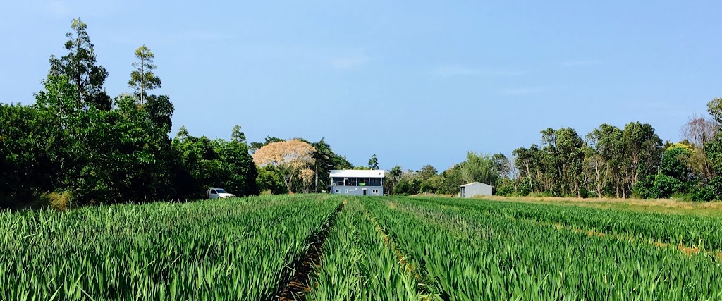 Robertson Farmhouse at Bargara | lodging | 98 Hughes Rd, Bargara QLD 4670, Australia | 0478015724 OR +61 478 015 724