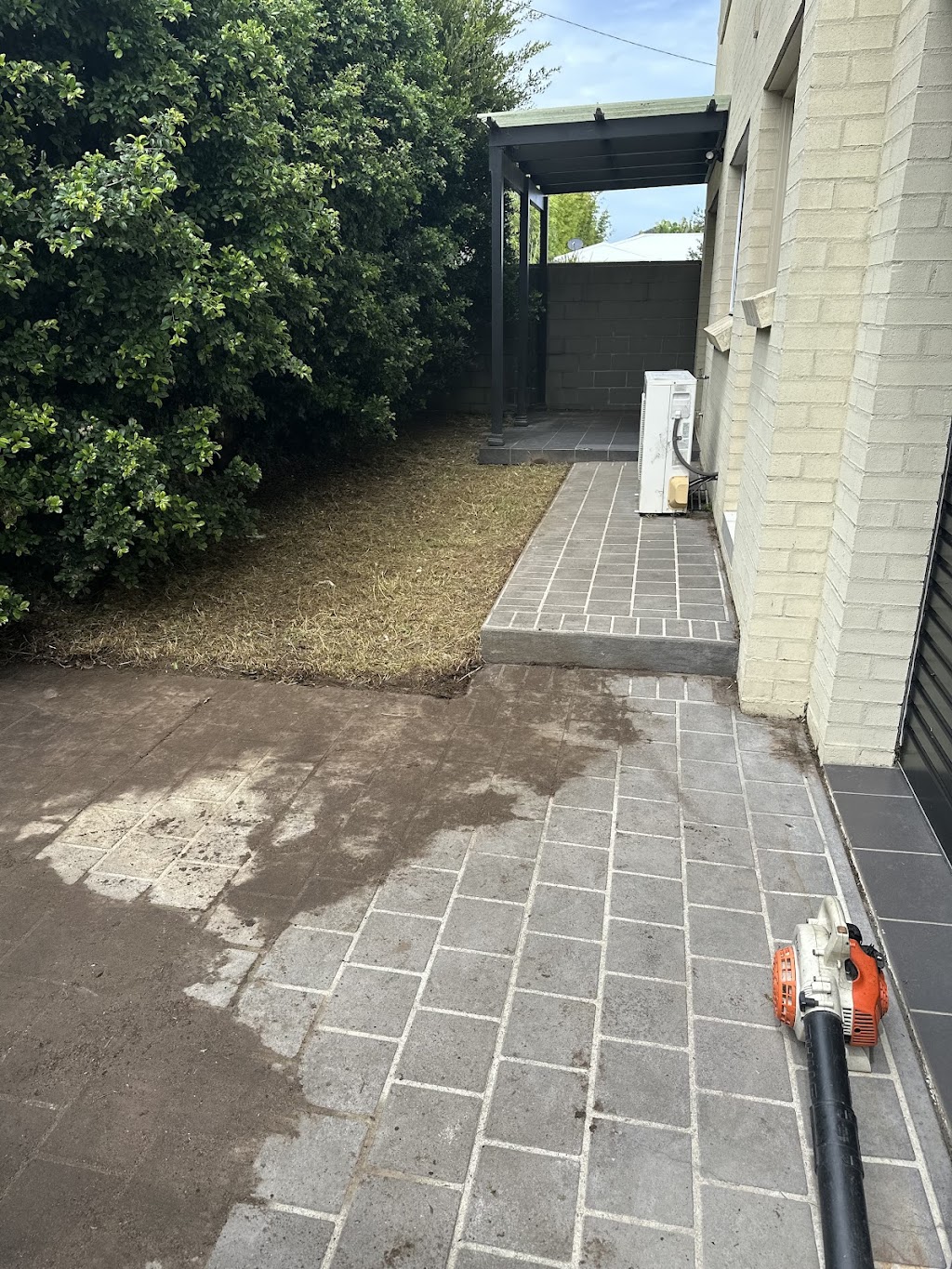 SprucedUP Lawns and Gardens | 252 Lakedge Ave, Berkeley Vale NSW 2261, Australia | Phone: 0402 858 349