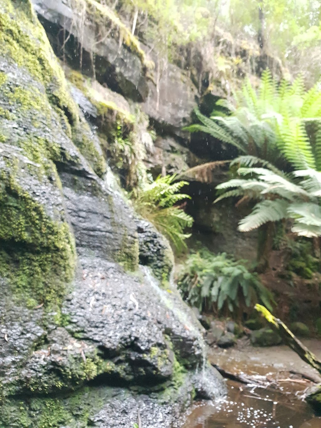 Henderson Falls | Henderson Track, Lorne VIC 3232, Australia | Phone: 13 19 63