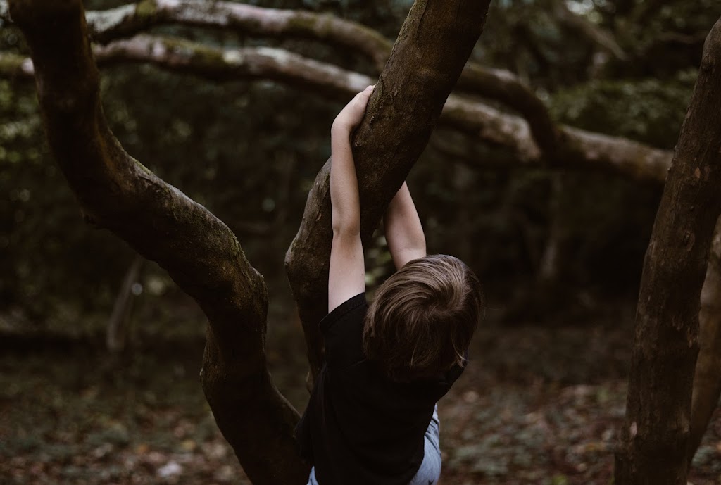 Burbank Bush Kindy Natural Childcare | 20 Moxon Rd, Burbank QLD 4156, Australia | Phone: (07) 3189 8880