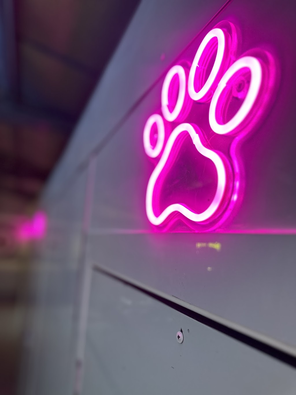 The Pet Emporium Doggy Lodge | 5 Summers Cl, Medowie NSW 2318, Australia | Phone: 0422 424 928