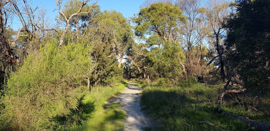 Rowan Woodland Reserve | 13A Teralba Cl, Dingley Village VIC 3172, Australia