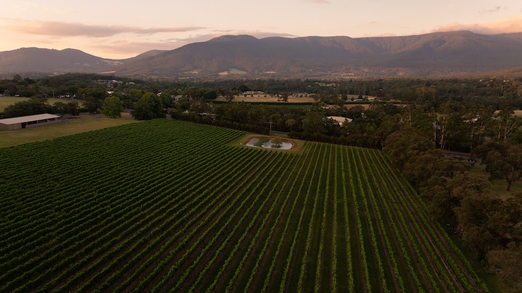 Mandala Wines | 108 Little Yarra Rd, Yarra Junction VIC 3797, Australia | Phone: 0409 809 058