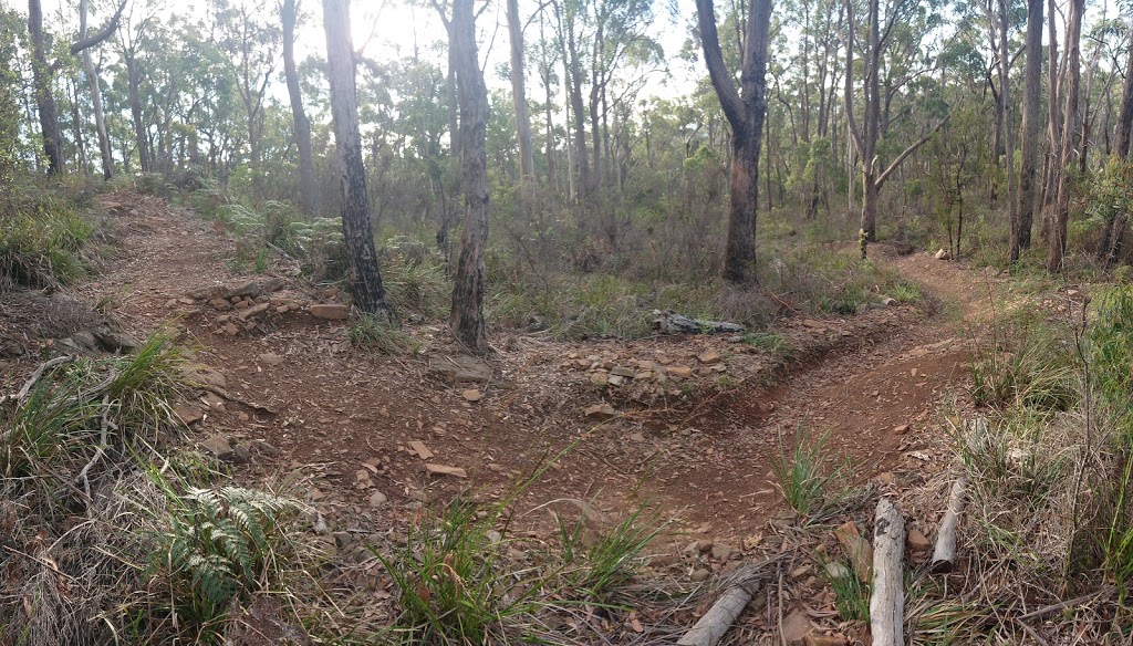 Kelcey Tier Mountain Bike Trails | Stony Rise TAS 7310, Australia