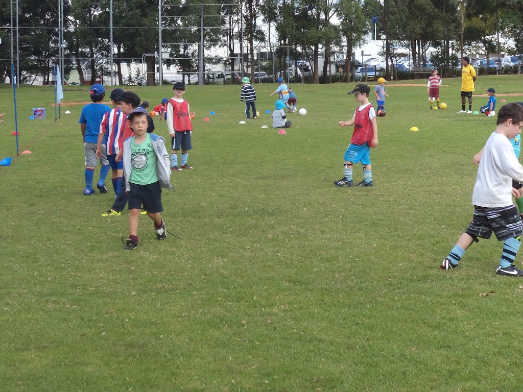 Active Kids Parties | 228 green St, Heritage Park QLD 4118, Australia | Phone: 0412 602 999